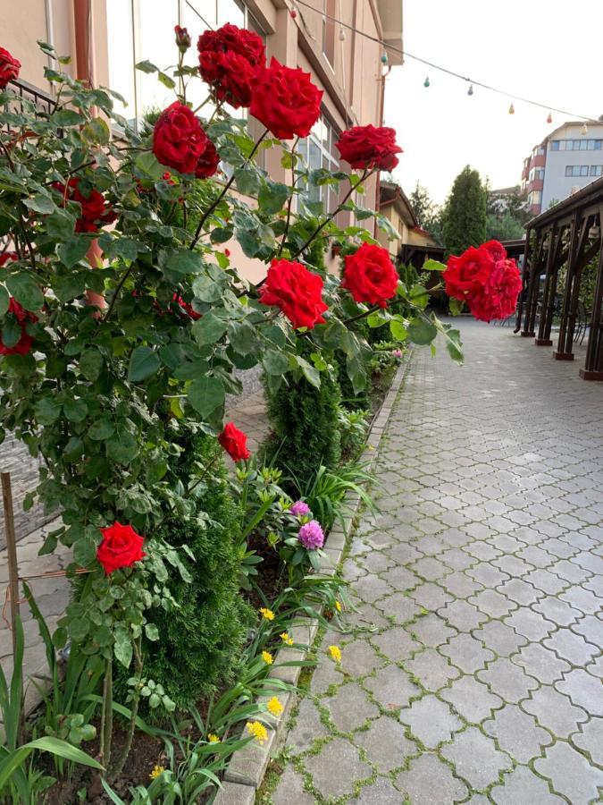 Pensiunea Passion Бухарест Экстерьер фото